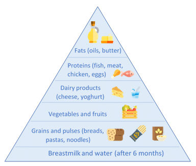 Food Pyramid