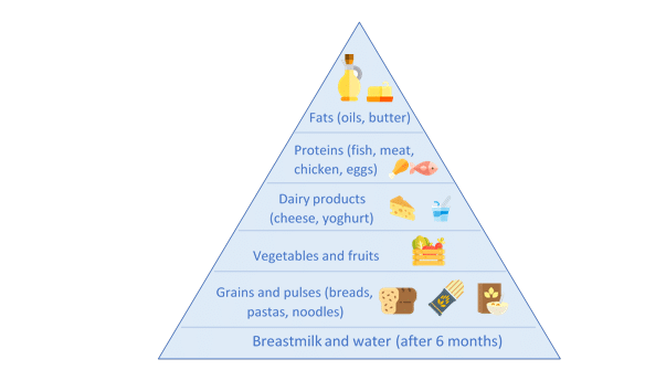 Food Pyramid