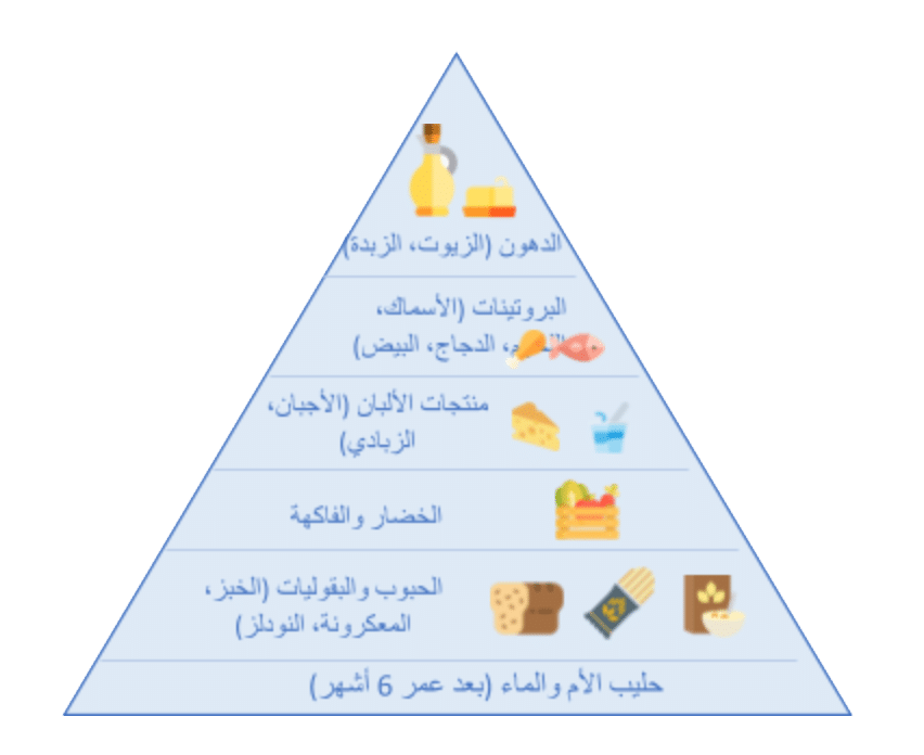 Food Pyramid